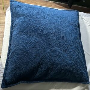 Pottery Barn velvet paisley euro pillow cover